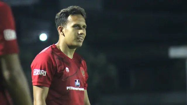 Egy Maulana Vikri, Timnas Indonesia