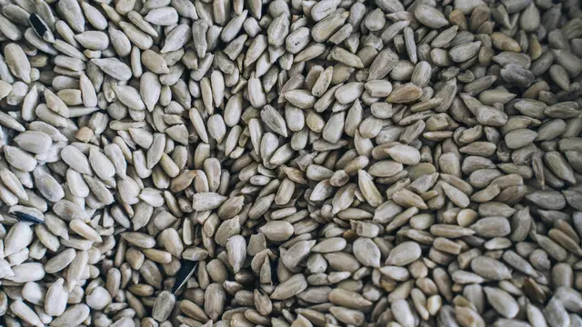 Meningkatkan Fungsi Kekebalan Tubuh