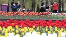 Sejumlah perempuan yang memakai masker mengambil foto bunga tulip di sebuah taman di Goyang, Korea Selatan, pada 13 April 2021. Korea Selatan sedang menyambut musim semi yang akan berlangsung dari Maret hingga Mei. (AP Photo/ Ahn Young-joon)