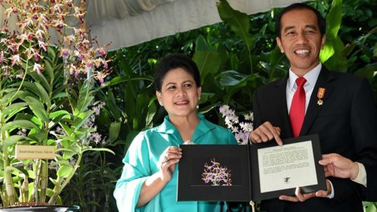Jokowi tunjuk putri Ahmad Yani dan eks Sekjen PDIP jadi Dubes