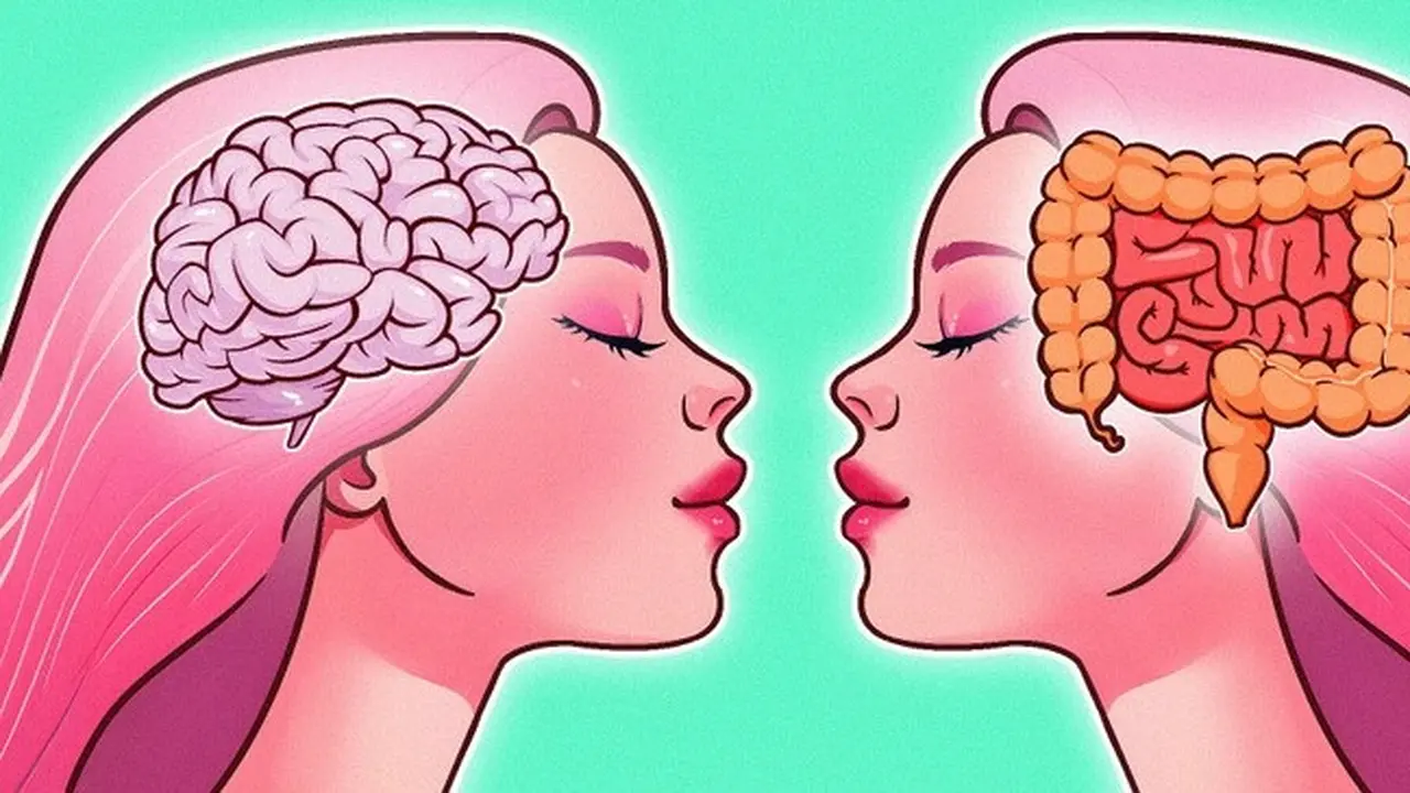 Antara Usus dan Otak, Temuan Terbaru dalam Ilmu Kesehatan Ini Tak Terduga