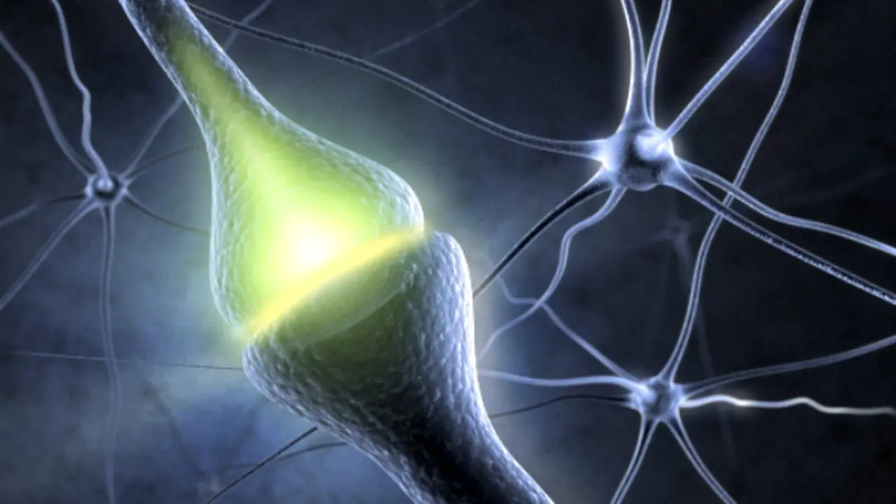 Temuan Baru Untuk Penyembuhan Alzheimer's