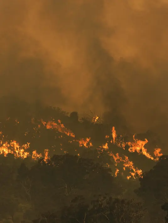 Kebakaran yang disebabkan oleh angin kencang membakar punggung bukit di pinggiran Brigadoon di Perth, Australia, Selasa (2/1/2021). Asap dan api dari kebakaran hutan membakar kota terbesar keempat di Australia ini, di tengah pemberlakuan lockdown virus corona COVID-19. (Trevor Collens/AFP)