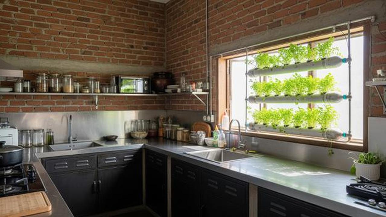 8 Model Dapur Minimalis Bentuk L dengan Tanaman Sayur di Botol, Estetik dan Fungsional