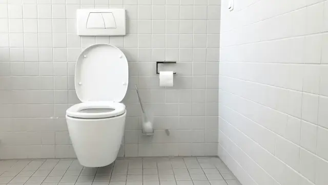 Ilustrasi toilet bersih