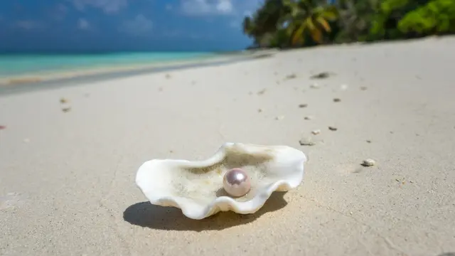 mutiara