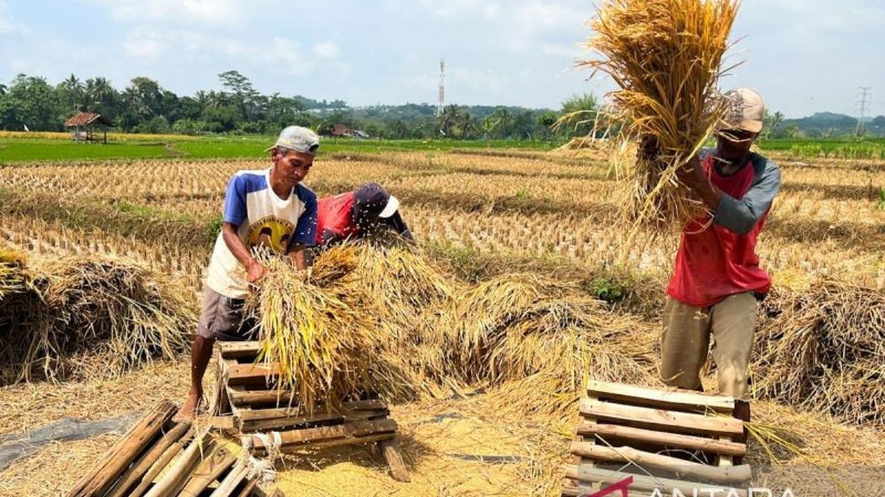 Tahukah Anda? Kementan Tingkatkan Mutu Layanan Publik Demi Kemajuan Pertanian Indonesia
