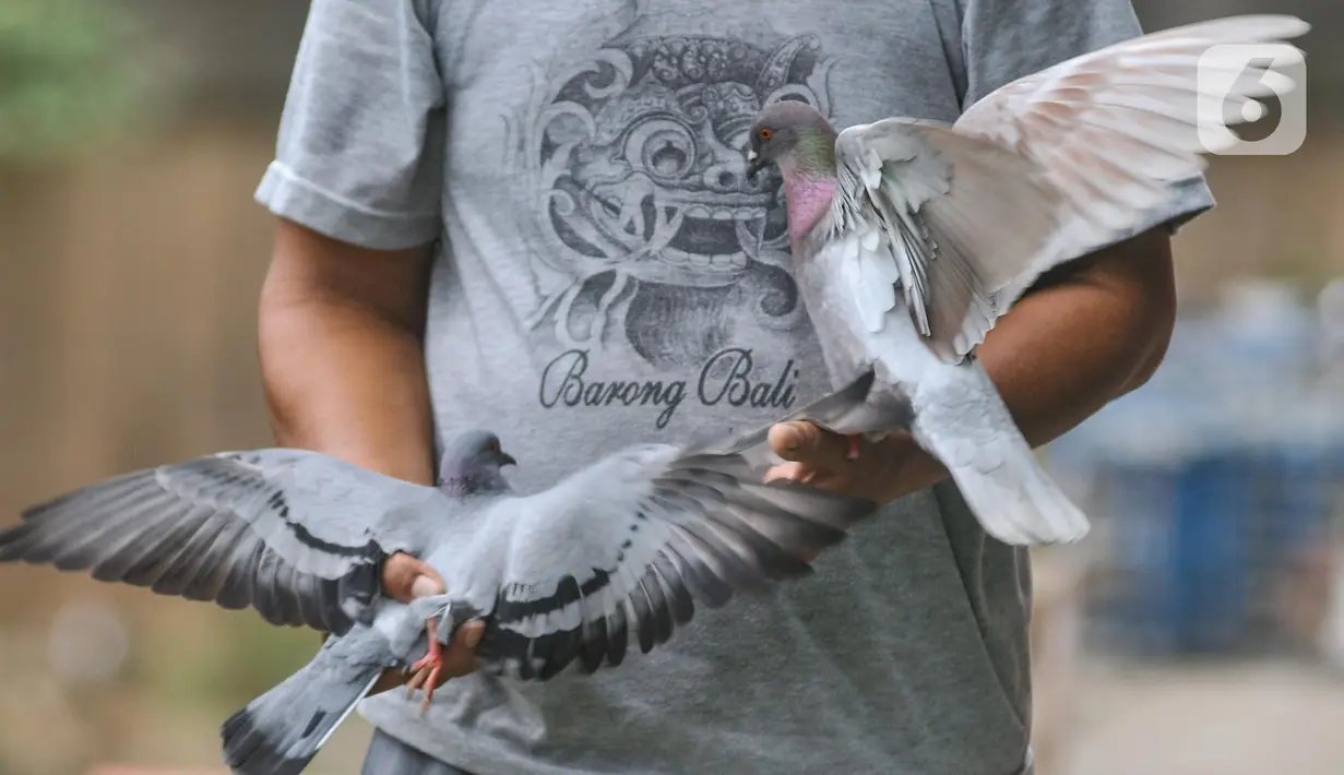 Warga saat memegang dua burung merpati di bantaran Kali Ciliwung, Jakarta, Kamis (25/5/2023). (merdeka.com/Iqbal S. Nugroho)