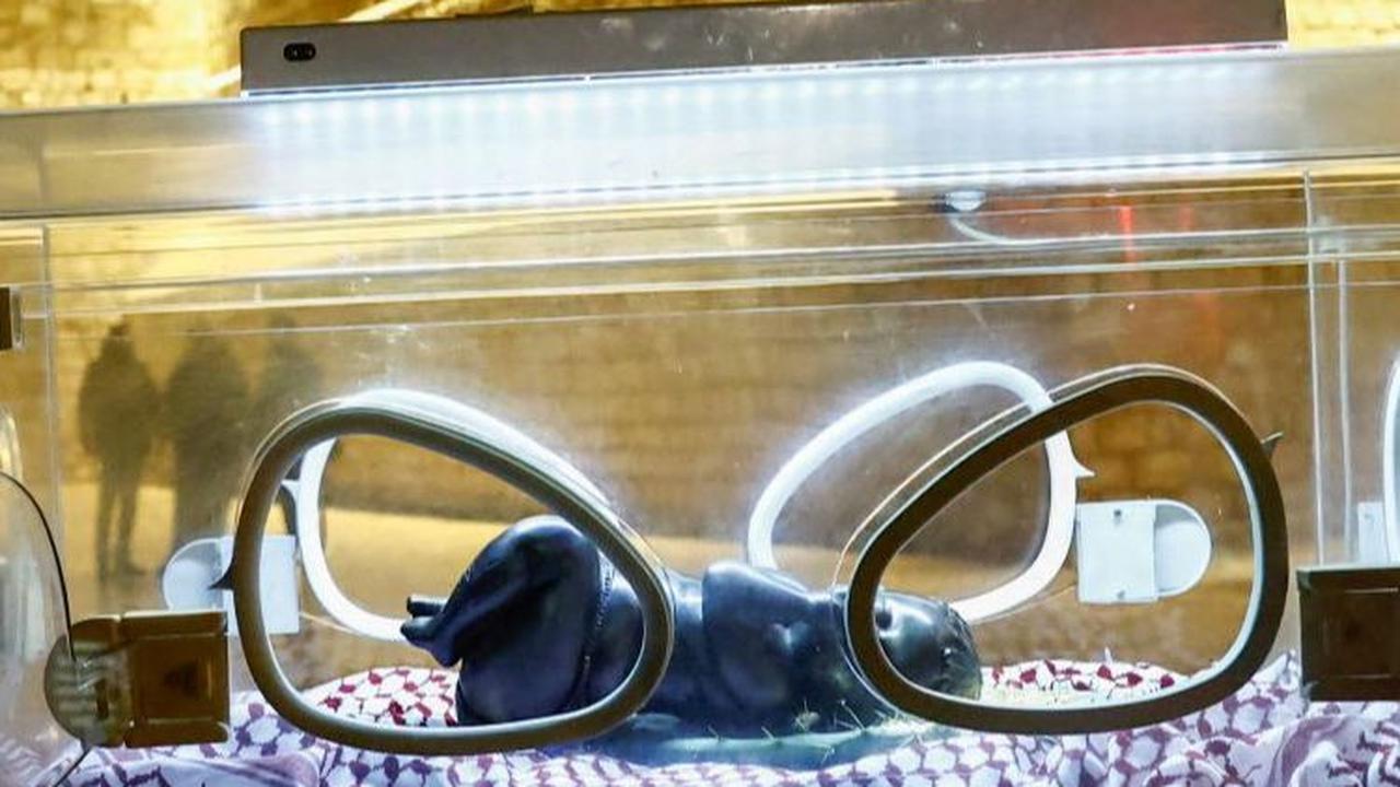 Bishara menempatkan sosok bayi Yesus dalam inkubator pada pintu masuk Gereja Kelahiran di Betlehem untuk menyapa jemaah yang hendak mengikuti misa malam Natal.&nbsp;REUTERS/Clodagh Kilcoyne