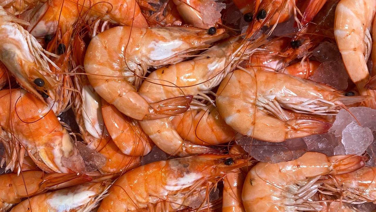 Apakah Udang Mengandung Kolesterol? Ketahui Fakta dan Mitosnya