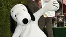 Produser Paul Feig dan Snoopy berpose di atas penghargaan Walk of Fame atas nama Snoopy pada upacara penghargaan di Holywood, California, Senin (2/11). (AFP PHOTO/Robyn Beck)
