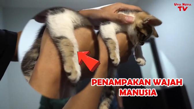 Potret Kucing Bercorak Manusia Milik Rieta Amilia. (Sumber: YouTube/Uya Kuya TV)