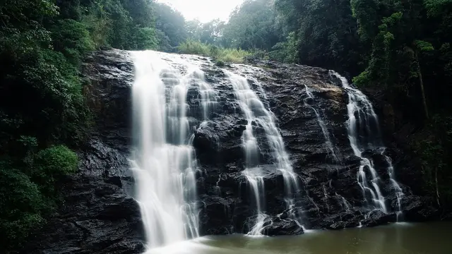 Coorg