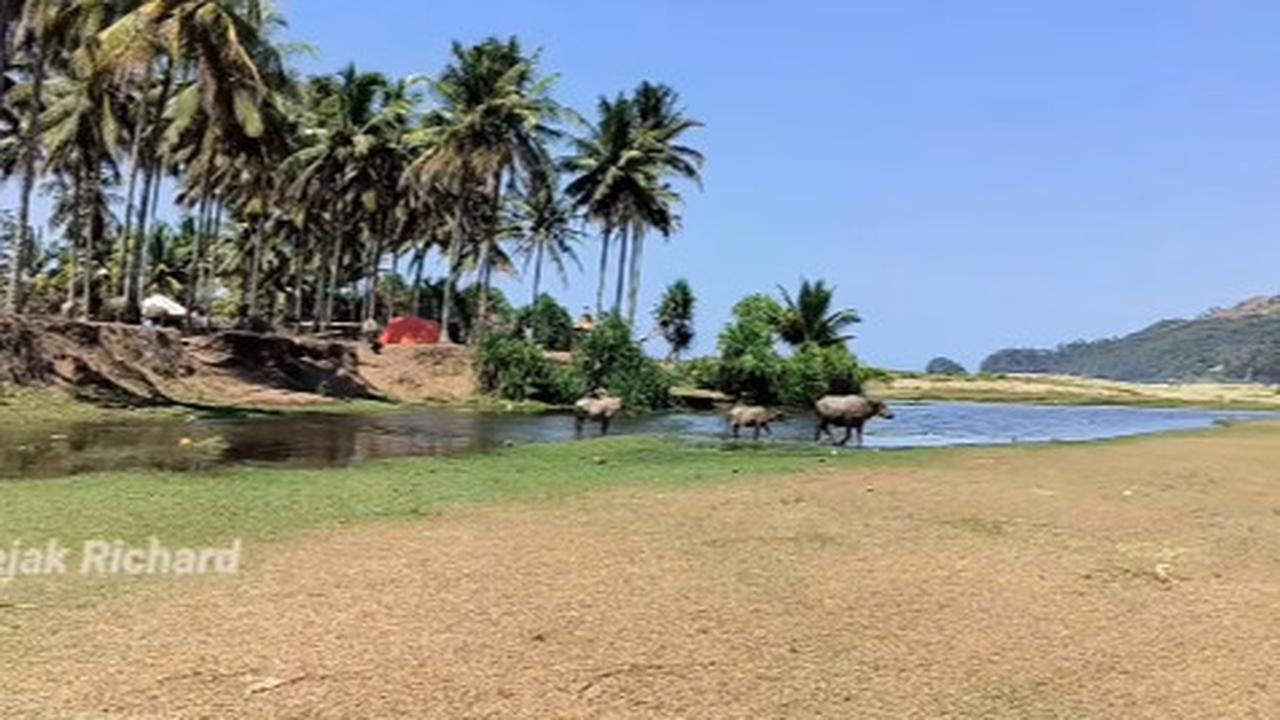 Kendati begitu indah dan cantik, namun Pantai Kerbau di Trenggalek diketahui masih sepi dari para wisatawan di tanah air.