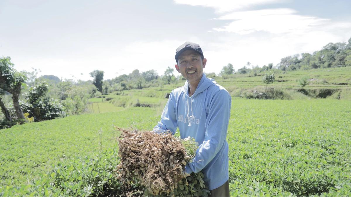 Desa BRILiaN Tompobulu di Kecamatan Balocci, Kabupaten Pangkajene dan Kepulauan, Provinsi Sulawesi Selatan