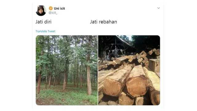 Potret Lucu Cocoklogi Nama Benda Sehari-hari Ini Bikin Ketawa Emosi