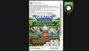 Tangkapan layar klaim link pendaftaran untuk mendapatkan bantuan bibit ikan gratis yang beredar di Facebook.
