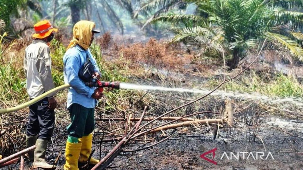 Kebakaran Lahan Nagan Raya Meluas hingga 60 Hektare, Tim Gabungan Terus Berjibaku