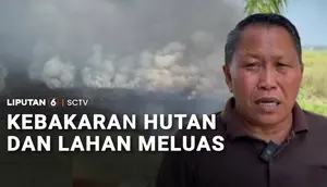 Karhutla Meluas di Kaltim Hanguskan Ratusan Hektare Lahan