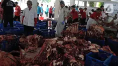 Petugas Suku Dinas Ketahanan Pangan Kelautan dan Pertanian Jakarta Pusat melakukan pemeriksaan kesehatan hewan kurban dari Rumah Potong Hewan (RPH) Masjid Istiqlal, Jakarta, Sabtu (1/7/2023). Pemeriksaan ini dilakukan untuk mengetahui kondisi kesehatan hewan kurban, apalagi di tengah wabah penyakit kuku dan mulut (PMK). (merdeka.com/Imam Buhori)