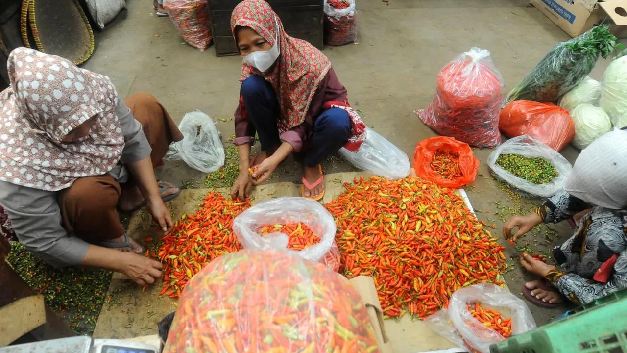 Pedagang memilah jenis cabai merah dan cabai rawit saat diperdagangkan di tengah harganya yang masih tinggi di Pasar Induk Keramat Jati, Jakarta, Kamis (30/11/2023).