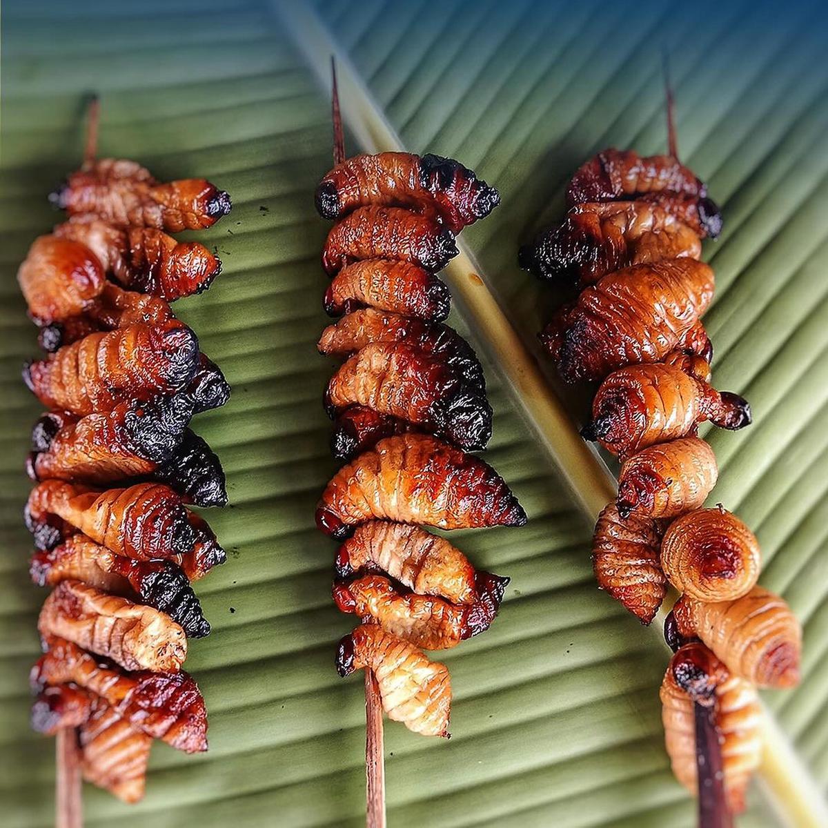 Sate ulat sagu