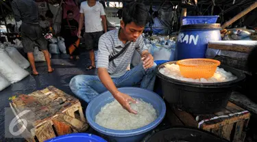 Seorang pedagang saat memilih kolang-kaling di Pasar Induk, Kramat Jati, Jakarta, Jumat (19/6/2015). Untuk memenuhi permintaan konsumen, pedagang kolang-kaling di pasar Induk, kramat jati menambah pasokan kolang-kaling. (Liputan6.com/Yoppy Renato)