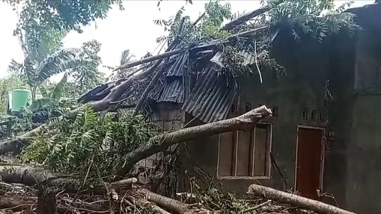 Salah satu rumah warga di Kelurahan Sarotari, Kabupaten Flores Timur ditimpa pohon akibat angin kencang.