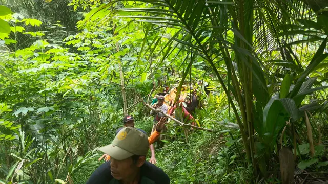 Kakek 76 tahun ditemukan selamat usai hilang 4 hari di hutan keramat di Banyumas, Jawa Tengah. (Foto: Liputan6.com/Basarnas)