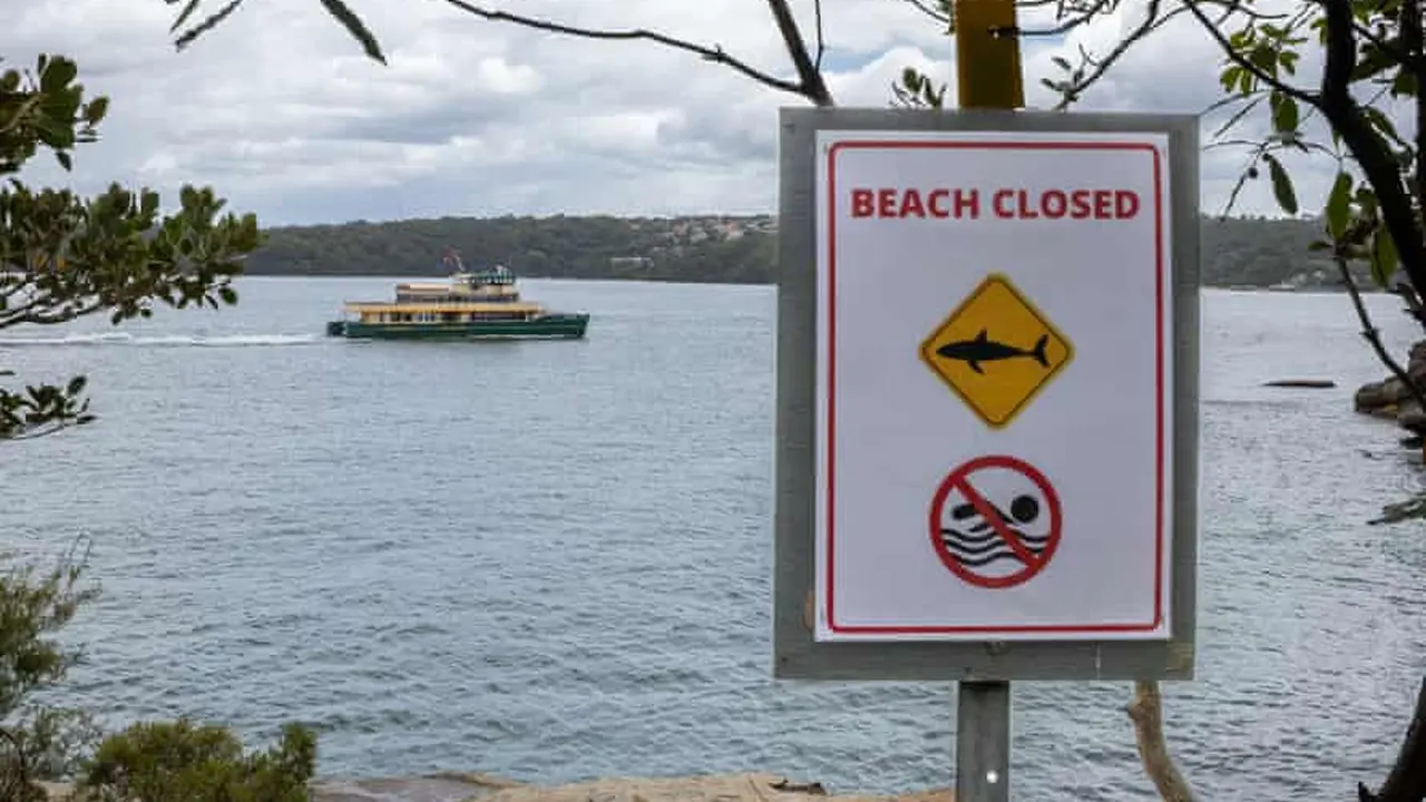 Pantai-pantai di dekat Vaucluse, Sydney, ditutup untuk para perenang.