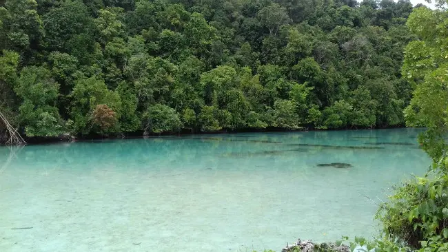 Kehe Daing yang berarti lubang ikan ini merupakan laguna cantik di Pulau Kakaban, Kepulauan Derawan. (/Ramdania El Hida)
