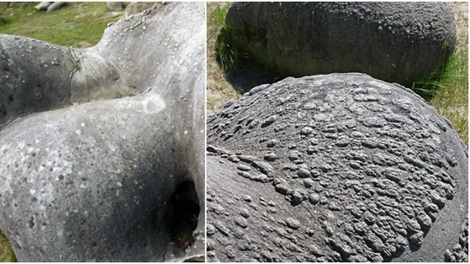 (c) odditycentral.com