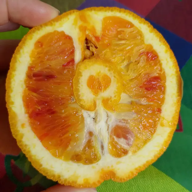 6 Penampakan Buah Usai Dipotong Ini Bikin Heran, Bentuknya Unik