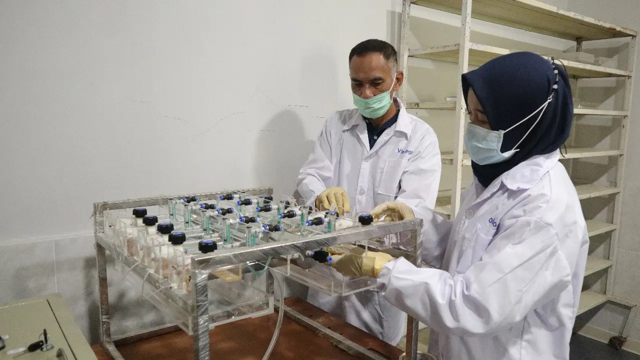 Balitbang Kementan Ekspose Uji Lanjutan Eucalyptus pada Virus SARS-CoV2