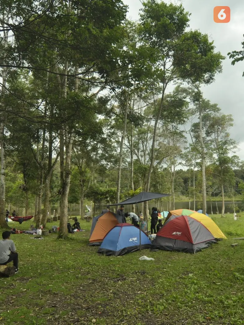 objek wisata telaga tambing di taman nasional lore lindu