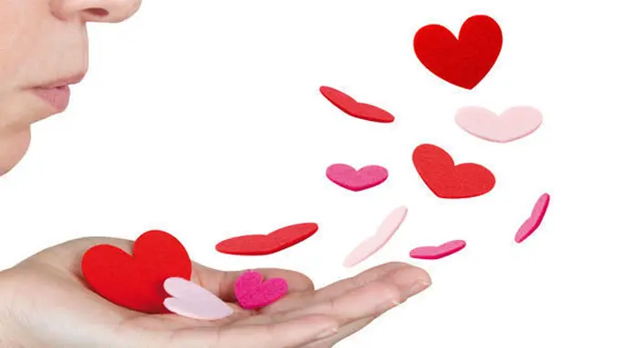 copyright by shutterstock.com