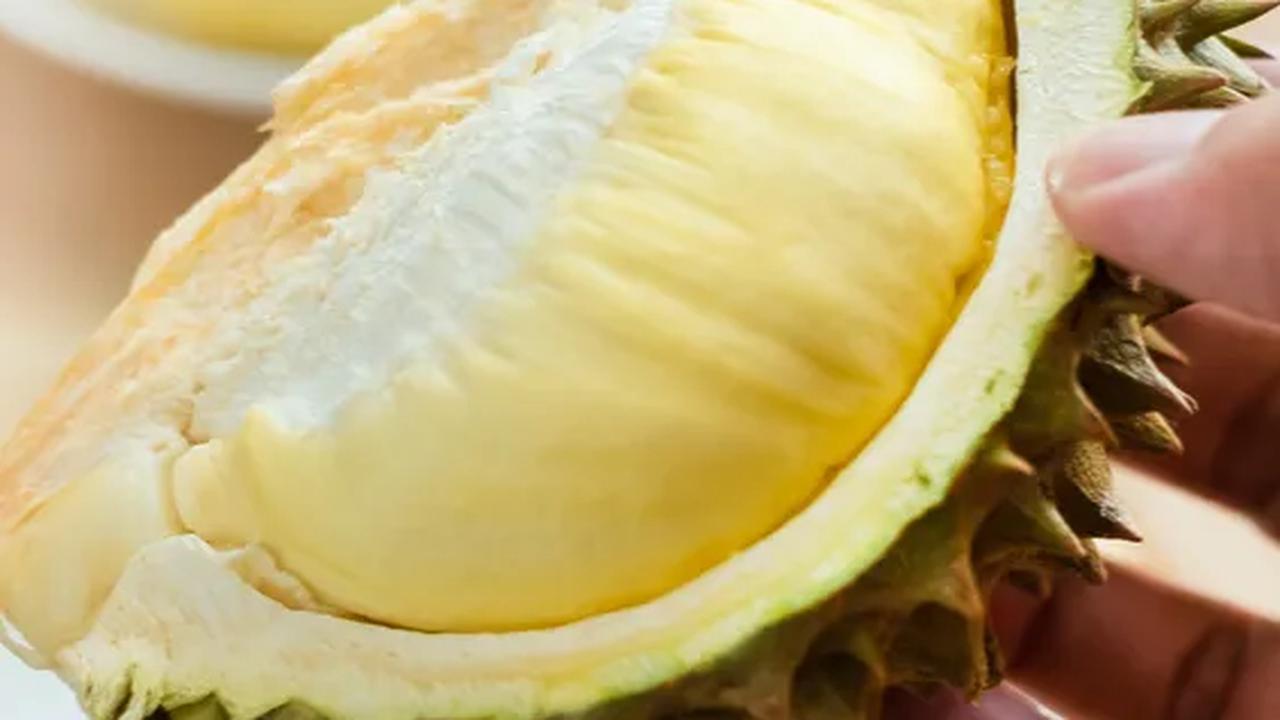 Durian Monthong: Si Manis Primadona Thailand Keturunan Indonesia