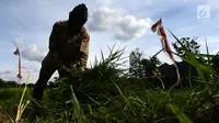 10 Cara Tanam Rambanan untuk Pakan Kambing, Investasi Menguntungkan Peternak