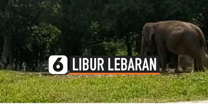 VIDEO: Suasana Taman Margasatwa Ragunan di Hari Kedua Libur Lebaran