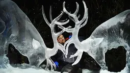 Pemahat es Darren Jackson memberi sentuhan akhir pada patung es dua rusa sebelum melangsungkan pameran bertema "The Ice Adventure: A Journey Through Frozen Scotland" di Edinburgh, Skotlandia (14/11). (AFP Photo/Andy Buchanan)