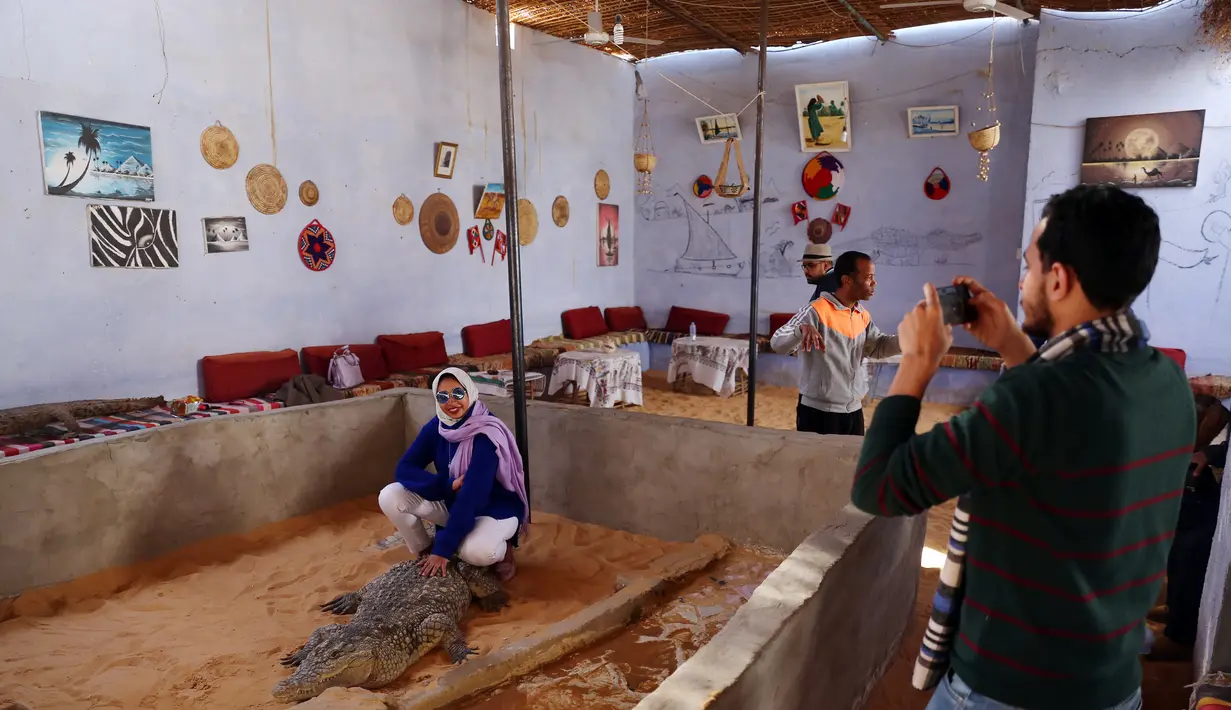 Seorang wisatawan berfoto bersama seekor buaya di Desa Nubia, Kota Aswan, Mesir (12/2/2020). Di desa tersebut, wisatawan dapat berswafoto dengan buaya hidup berukuran sangat besar. (Xinhua/Ahmed Gomaa)