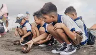 Konservasi Penyu Lekang di Pantai Biaung Perkuat Perlindungan Ekosistem Pesisir