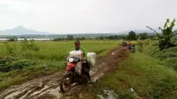 Darurat Covid-19 Tidak Mengahalangi Petani Indramayu Panen Raya Padi dan Jagung