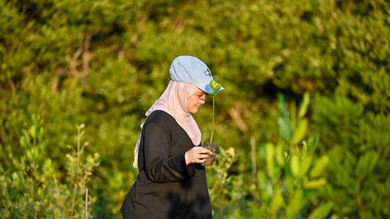 FOTO: Anak Muda Aceh Tanam Mangrove untuk Perkuat Ekosistem Pesisir