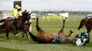  Kuda bernama Curious Carlos terjatuh saat ditunggai oleh Sean Bowen pada pacuan kuda festival nasional Crabbie Grand Liverpool, Inggris, (7/4/2016). Acara yang digelar setiap tahun ini selalu menjadi daya tarik warga Inggris. (Reuters / Andrew Boyers)