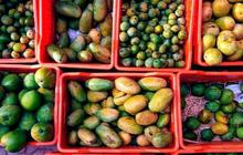 8 Negara yang Punya Produksi Mangga Terbanyak di Dunia, Indonesia Masuk dalam Daftar