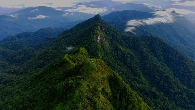 Gunung Halau-Halau di Kalimantan Selatan