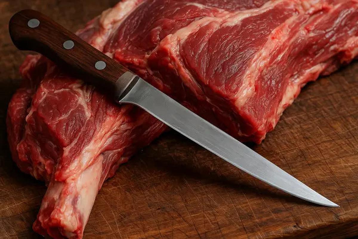 6 Rekomendasi Pisau untuk Memotong Daging Kurban, Tajam dan Nyaman Digunakan