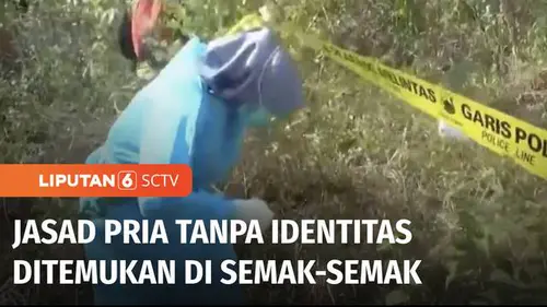 VIDEO: Penemuan Jasad Lansia di Semak-Semak Gegerkan Warga Kudus