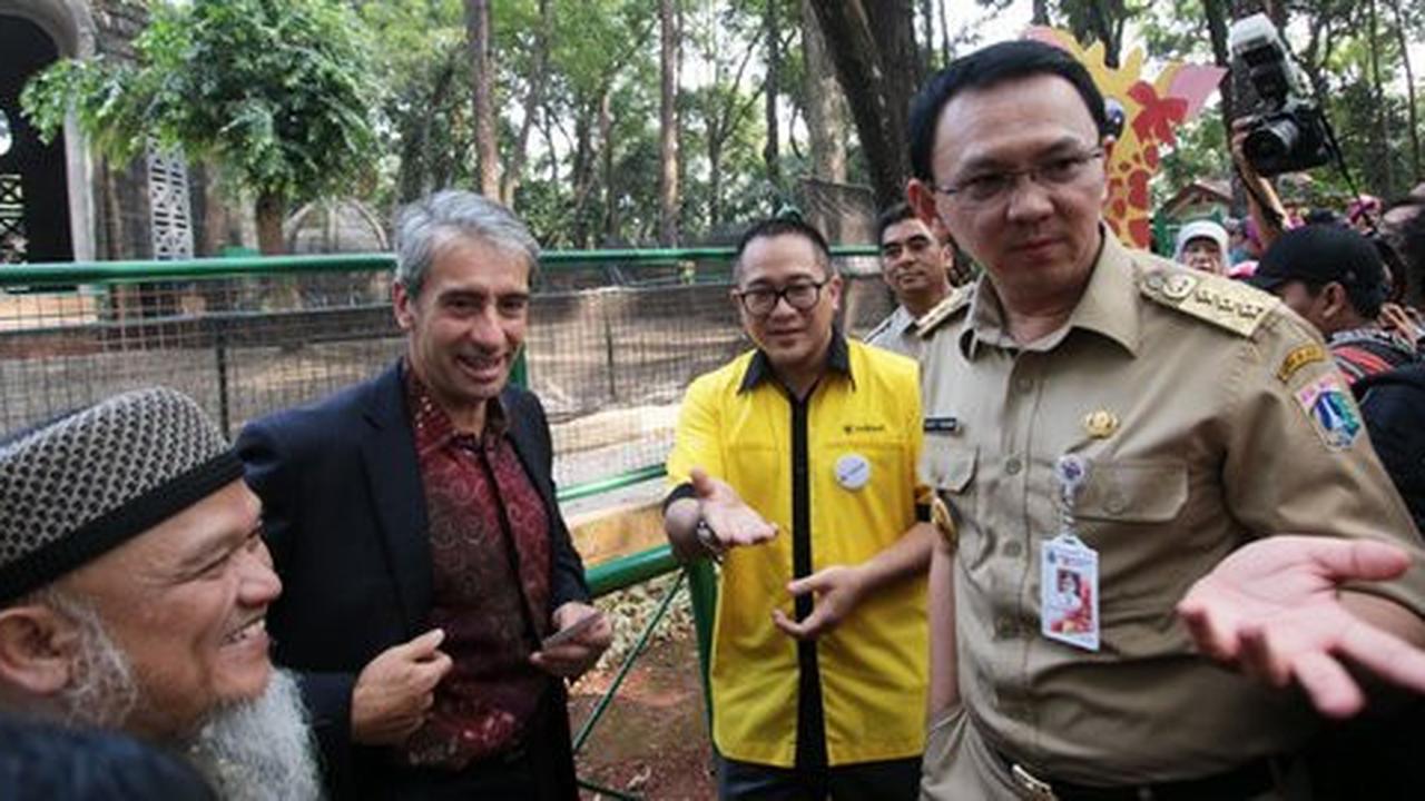 Ahok bakal usir taksi dan bus tak berizin keluar Jakarta